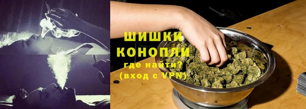 кокс Гусев