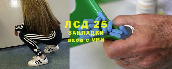 кокс Гусев