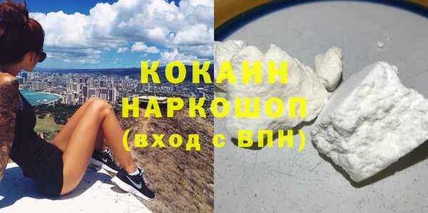 кокс Гусев