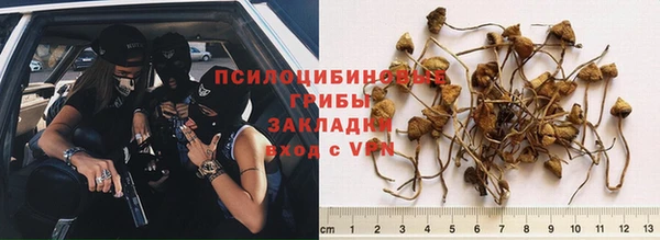 кокс Гусев