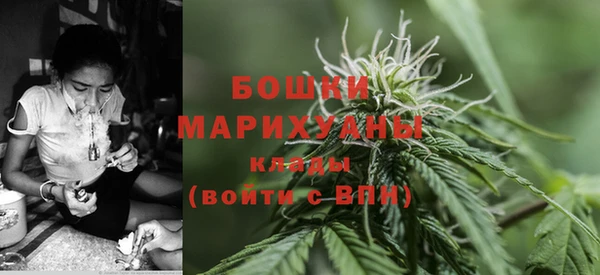 кокс Гусев
