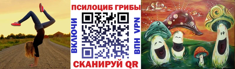 Псилоцибиновые грибы прущие грибы  Купить где  Обнинск 